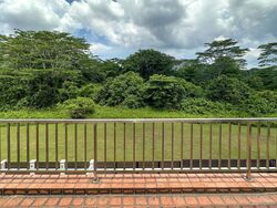 Springside Avenue (D26), Terrace #553021221